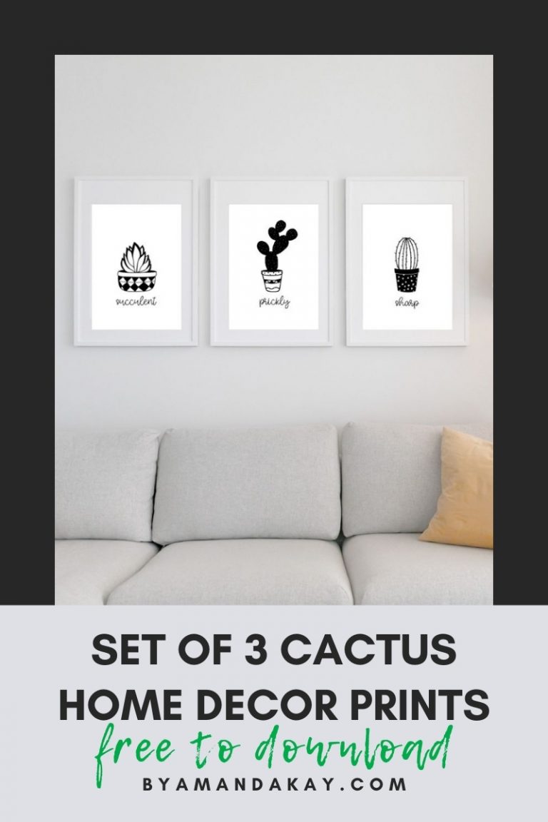 Set of 3 Black and White Cacti Printables